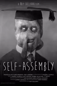Poster for Self Assembly